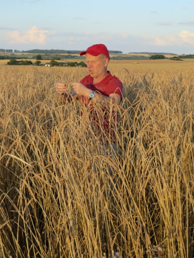 Der Bio- Dinkel Bauer ist auf seine Ernte stolz